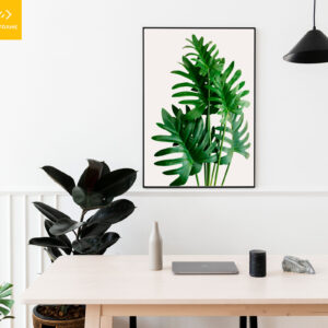 la-cay-Philodendron-xanadu-pc-web-res Lá Cây Trầu Bà Cánh Phượng No.1